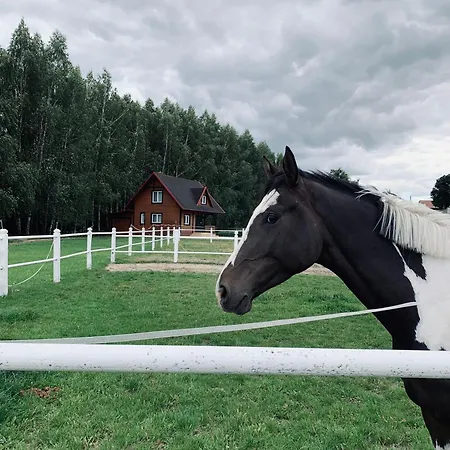 Wolnostojacy Na Terenie Trzy Podkowy Semesterbostad